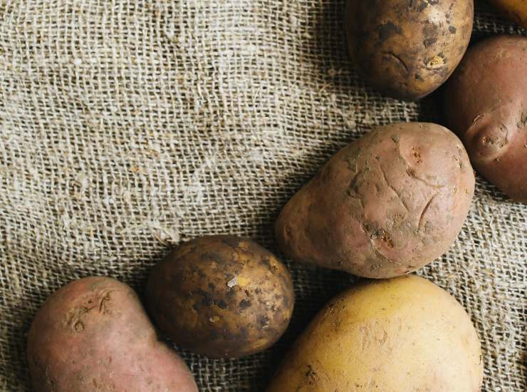 Patate