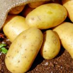 Sacco di patate