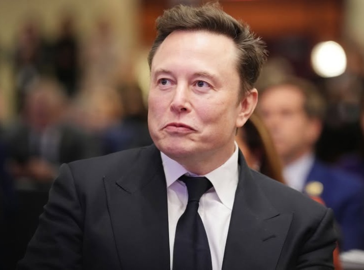 Le accuse contro Elon Musk - fonte Facebook - mobilitasostenibile.it