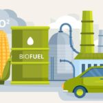 Biocarburanti - fonte Freepik - mobilitasostenibile.it