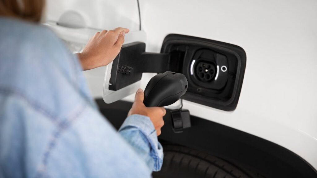 Paradiso auto elettriche - fonte Freepik - mobilitasostenibile.it