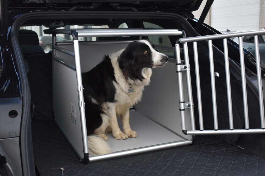 Cane nella gabbia per auto