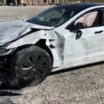 Tesla incidentata