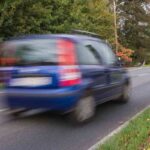 Panda in movimento