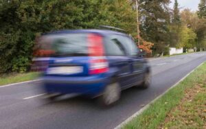 Panda in movimento