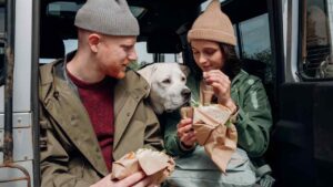 Cane-in-auto-Foto-di-cottonbro-studio-da-Pexels-MobilitàSostenibile