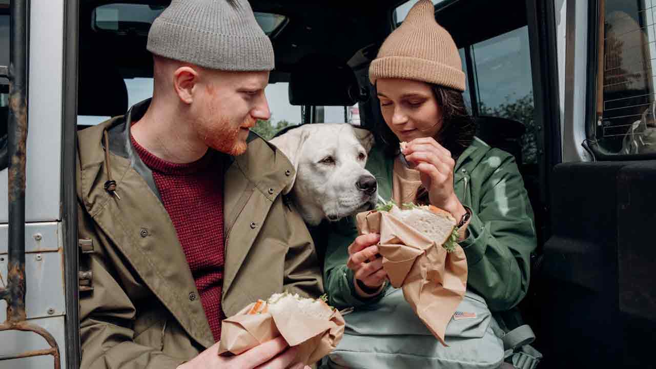 Cane-in-auto-Foto-di-cottonbro-studio-da-Pexels-MobilitàSostenibile