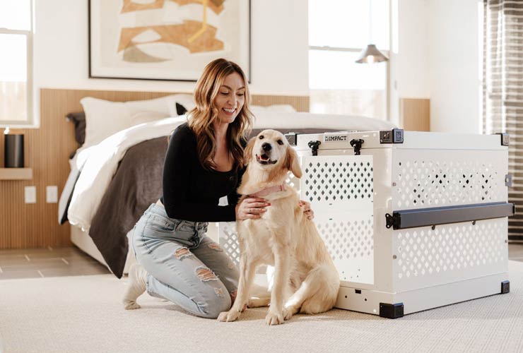 Kennel-per-cane-Foto-di-Impact-Dog-Crates-da-Pexels-MobilitàSostenibile