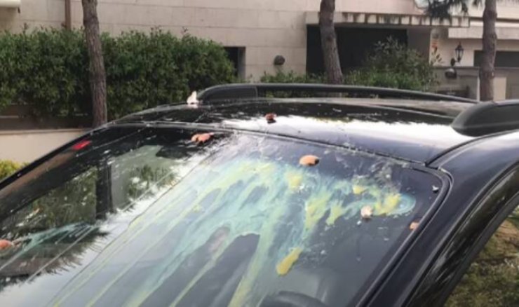 Uova sul parabrezza dell'auto