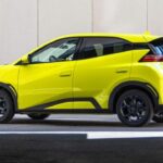 BYD Dolphin Surf in strada