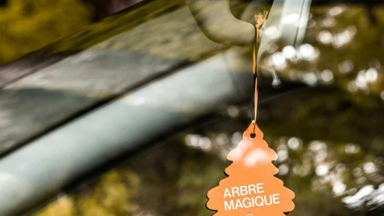 Addio all’Arbre Magique “legale”: da oggi non puoi più appenderlo | Ti becchi la multa